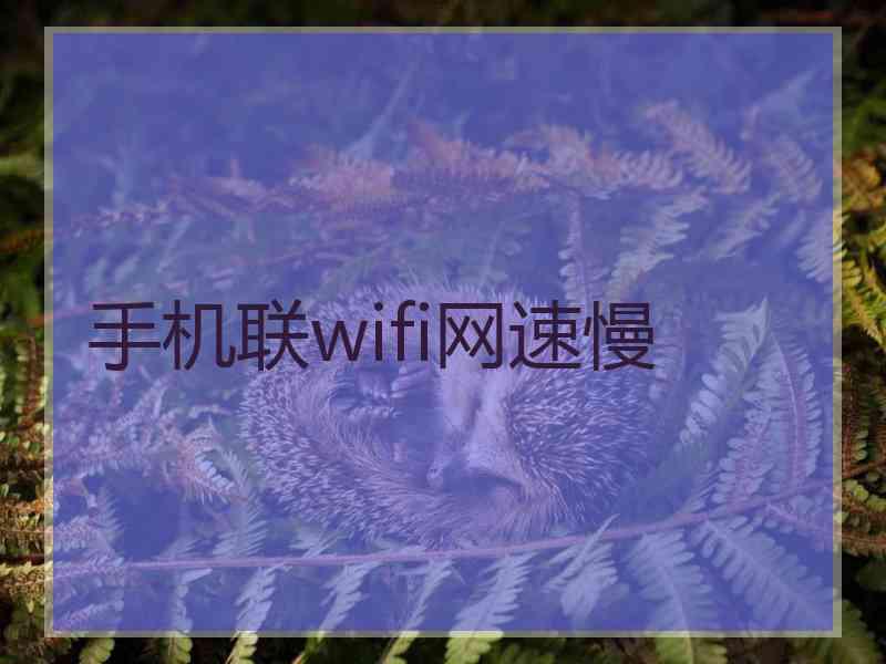 手机联wifi网速慢 手机联wifi网速慢