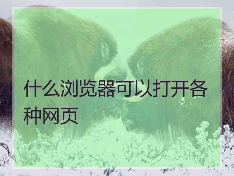 什么浏览器可以打开各种网页 什么浏览器可以打开各种网页