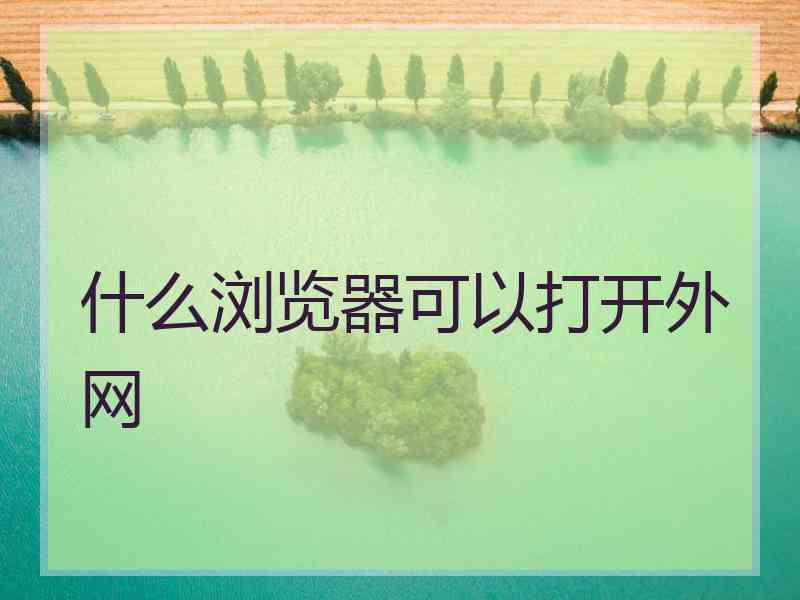 什么浏览器可以打开外网 什么浏览器可以打开外网