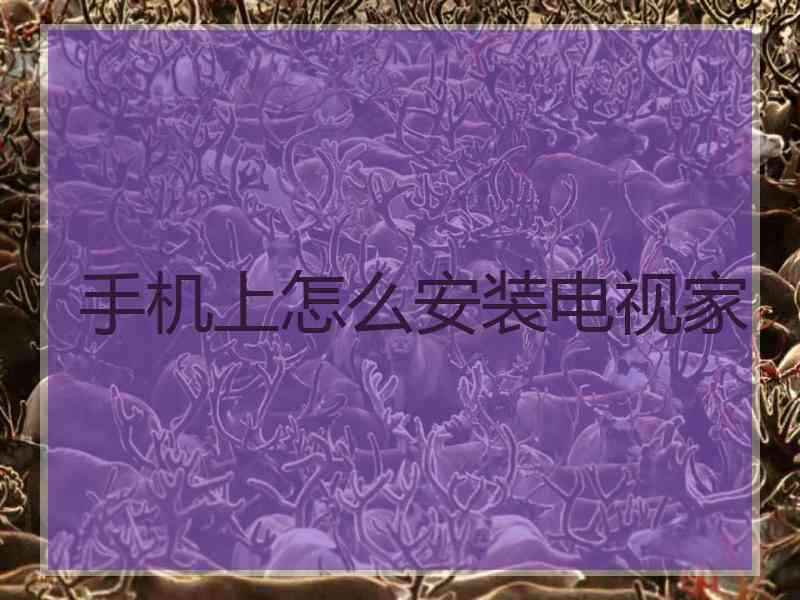 手机上怎么安装电视家 手机上怎么安装电视家