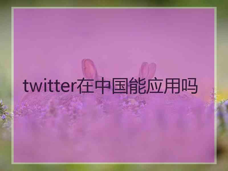 twitter在中国能应用吗
