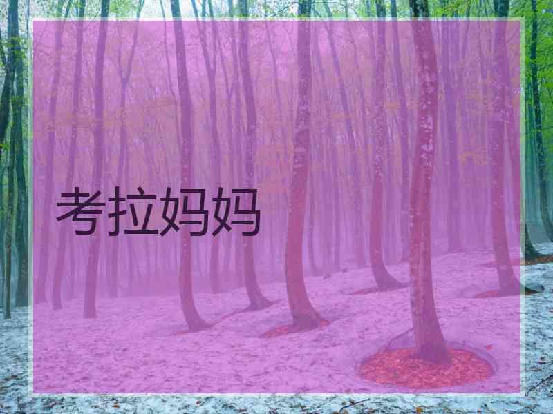 考拉妈妈 考拉妈妈