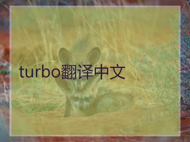 turbo翻译中文