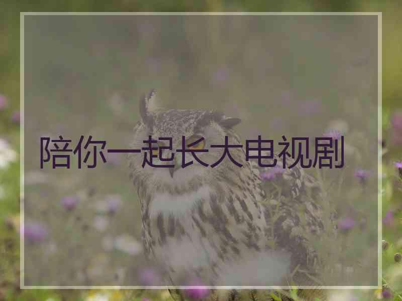 陪你一起长大电视剧 陪你一起长大电视剧