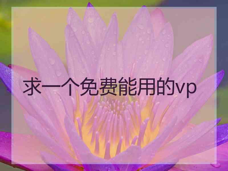 求一个免费能用的vp 求一个免费能用的vp