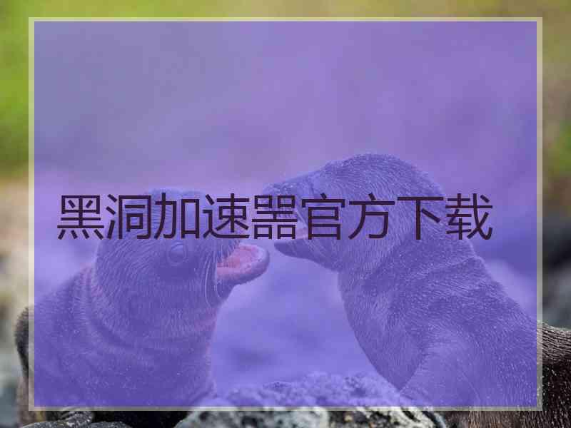 黑洞加速噐官方下载 黑洞加速噐官方下载