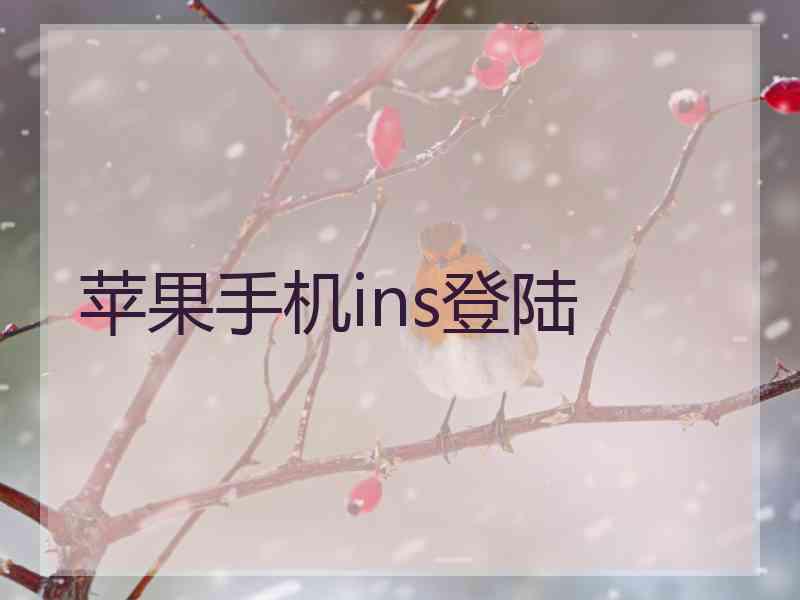 苹果手机ins登陆 苹果手机ins登陆