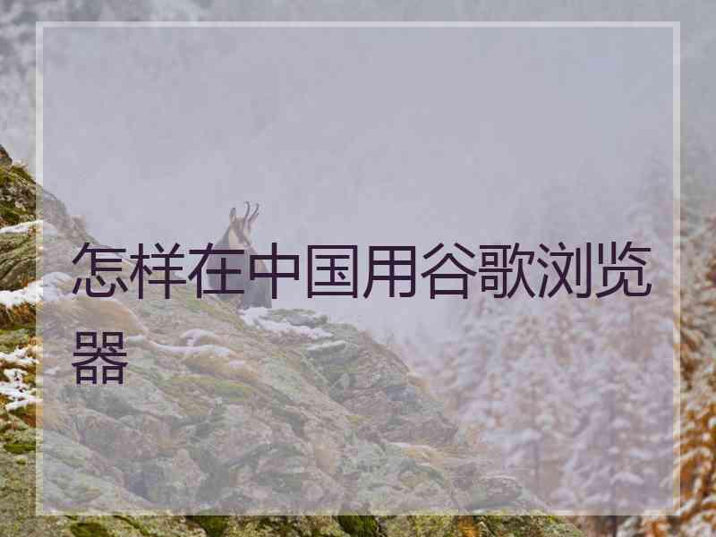 怎样在中国用谷歌浏览器