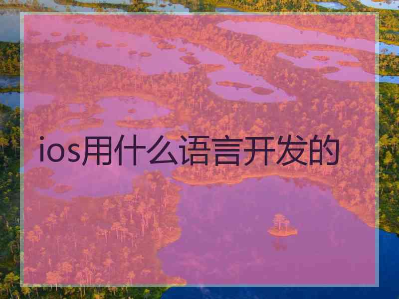 ios用什么语言开发的