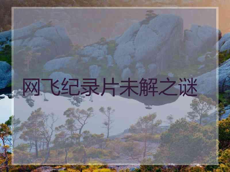 网飞纪录片未解之谜
