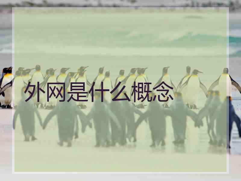 外网是什么概念