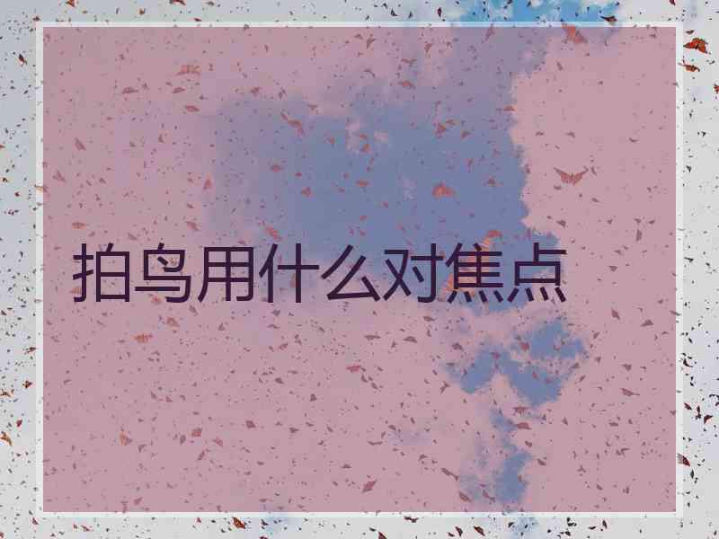 拍鸟用什么对焦点