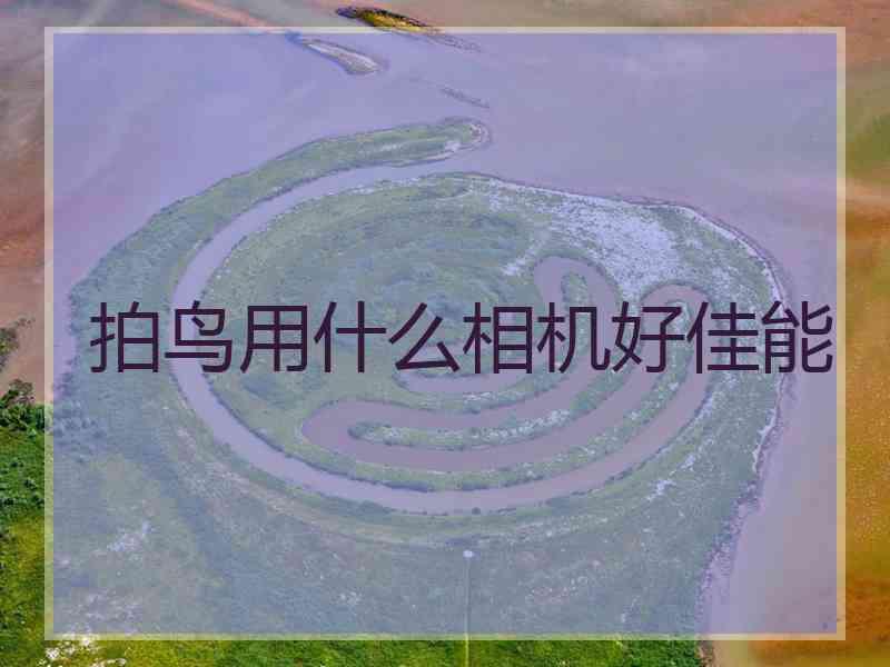 拍鸟用什么相机好佳能