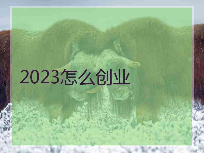 2023怎么创业