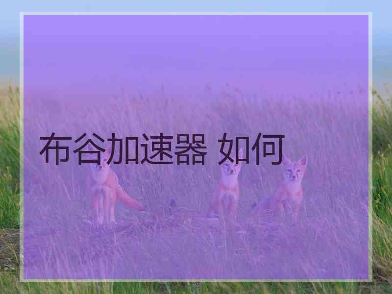 布谷加速器 如何