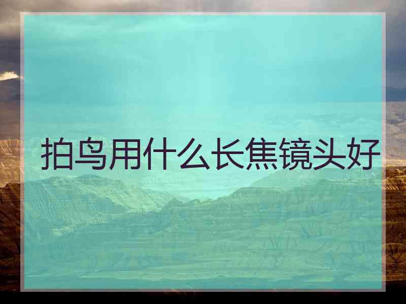 拍鸟用什么长焦镜头好