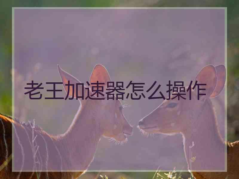 老王加速器怎么操作