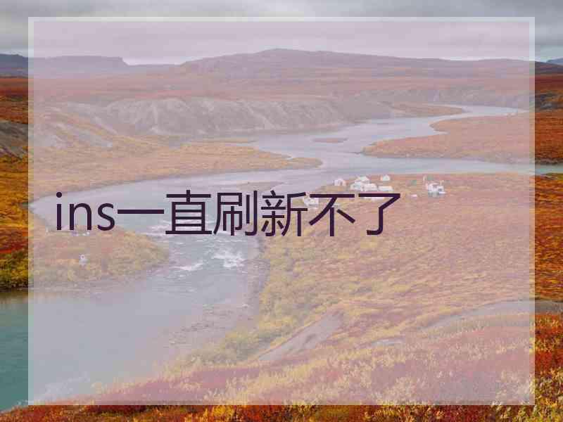 ins一直刷新不了
