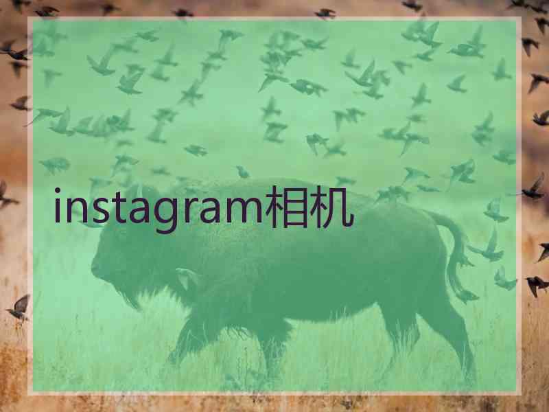 instagram相机