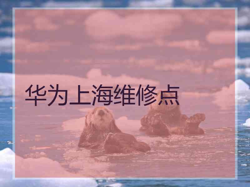 华为上海维修点