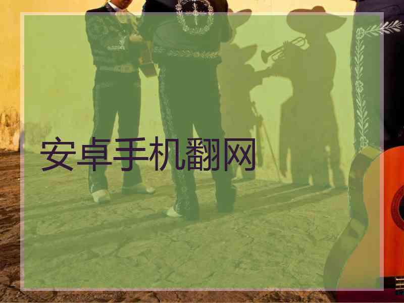 安卓手机翻网