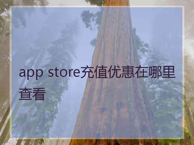 app store充值优惠在哪里查看