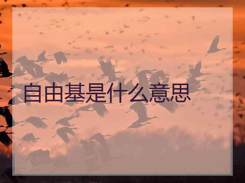 自由基是什么意思