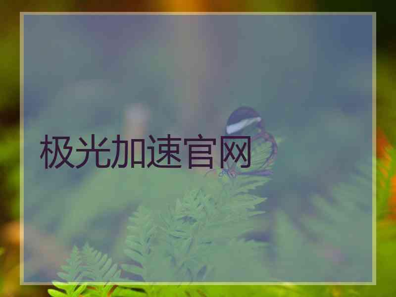极光加速官网