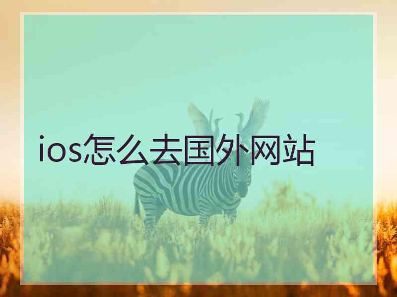 ios怎么去国外网站
