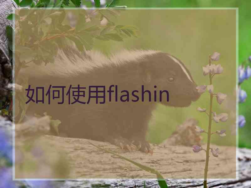 如何使用flashin