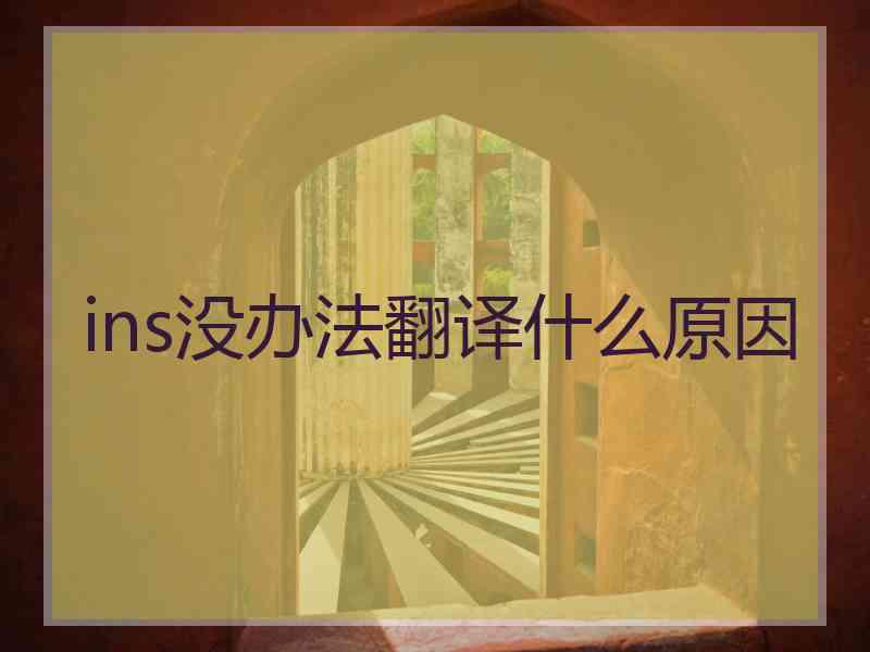 ins没办法翻译什么原因