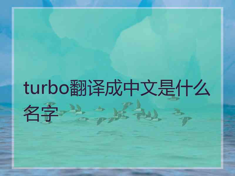 turbo翻译成中文是什么名字