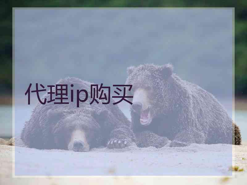 代理ip购买