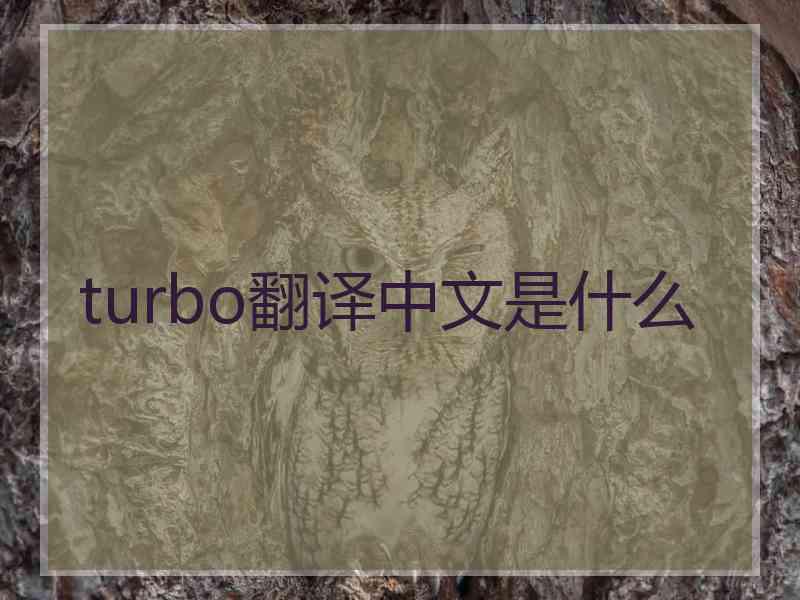 turbo翻译中文是什么