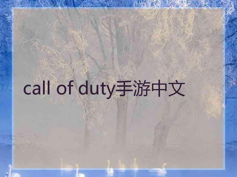 call of duty手游中文