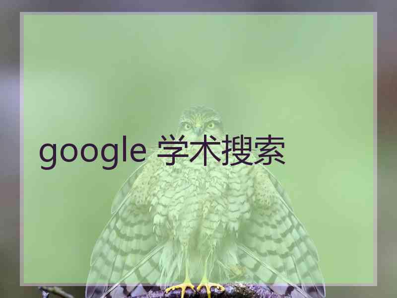 google 学术搜索