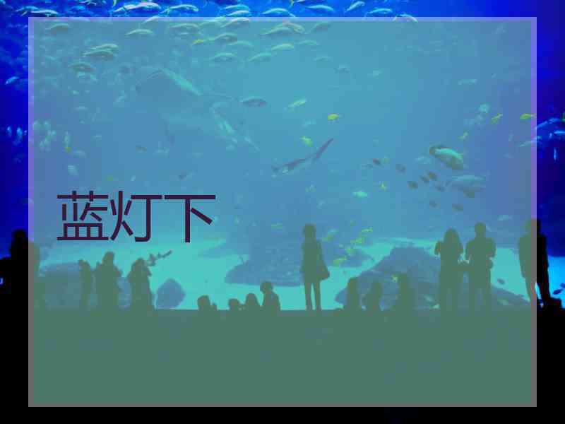 蓝灯下