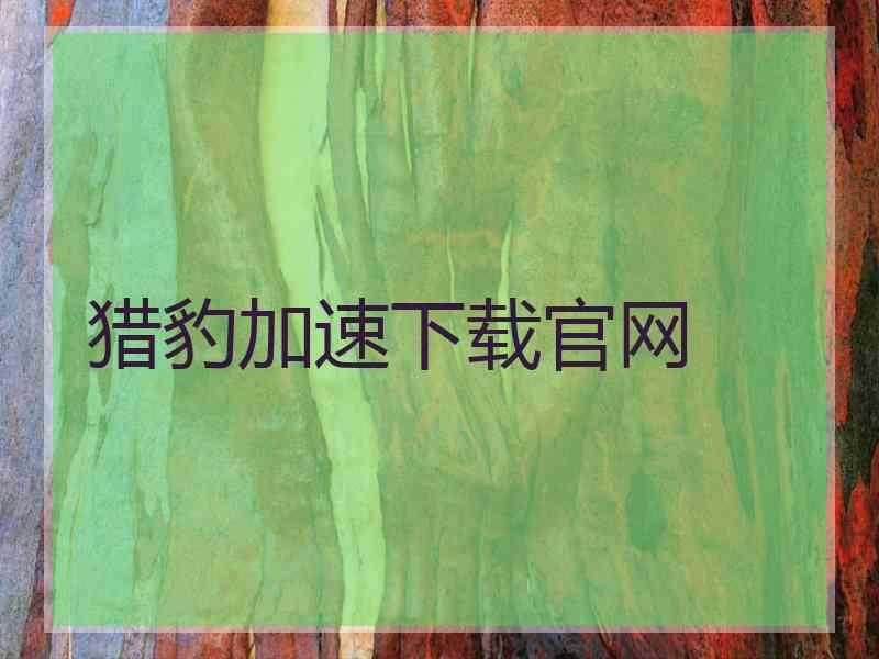 猎豹加速下载官网