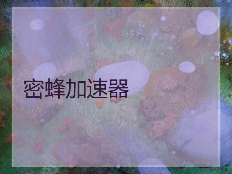 密蜂加速器