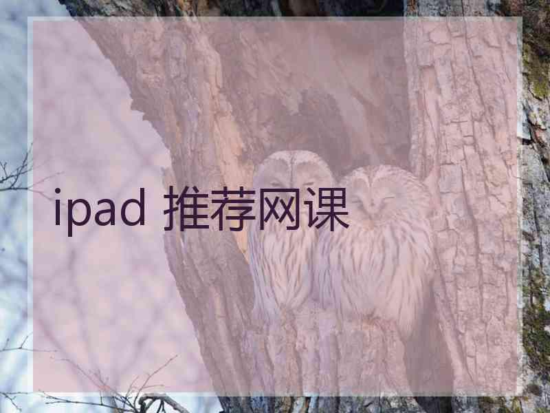 ipad 推荐网课