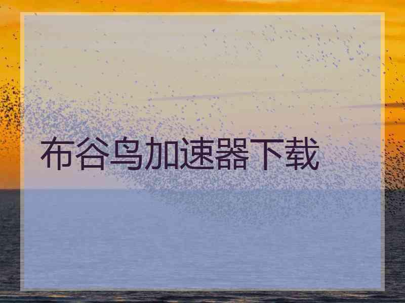 布谷鸟加速器下载
