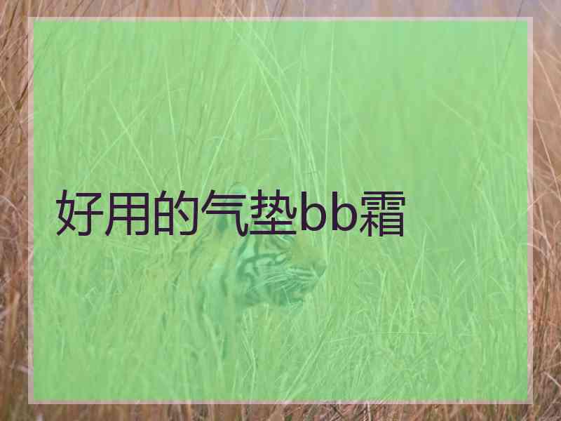 好用的气垫bb霜
