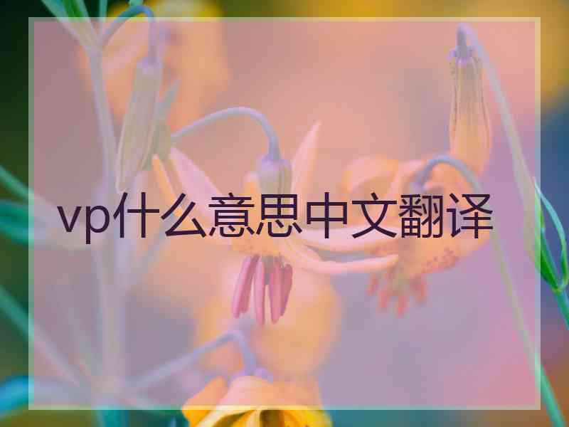 vp什么意思中文翻译