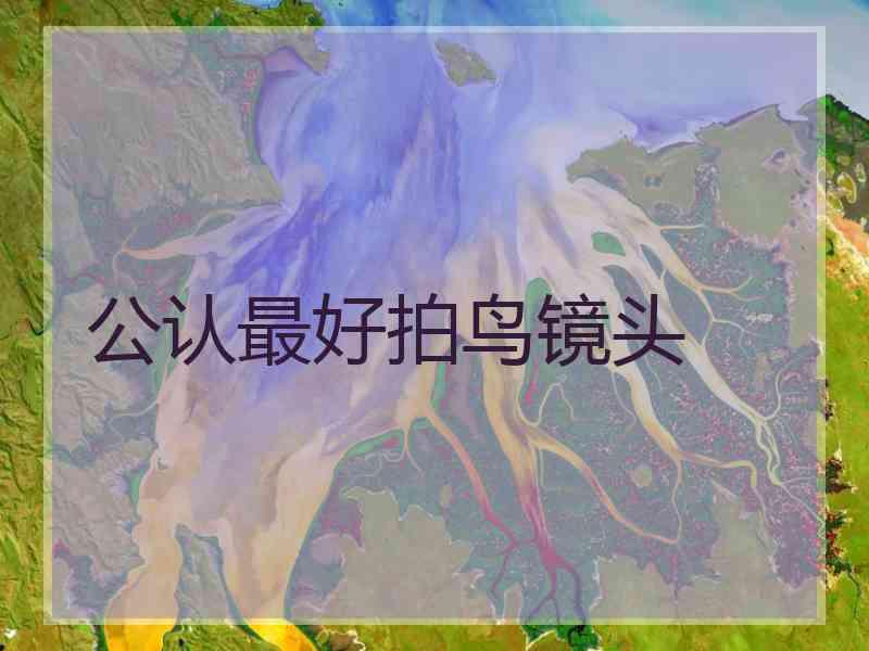 公认最好拍鸟镜头