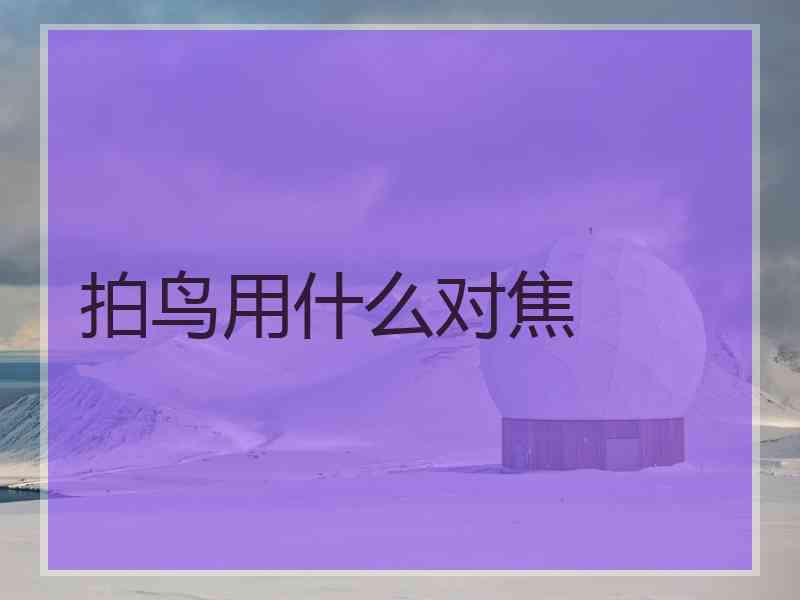 拍鸟用什么对焦