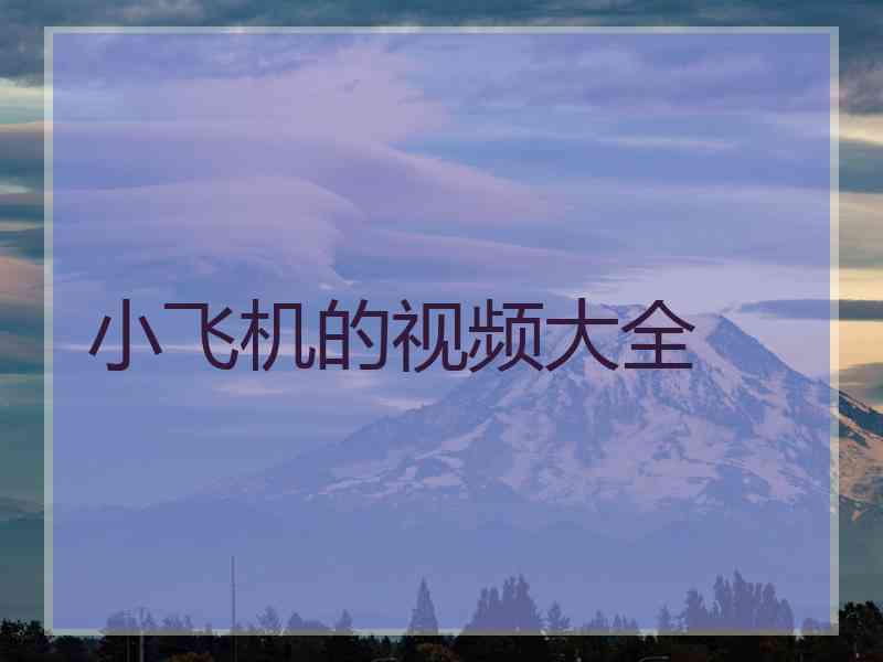 小飞机的视频大全