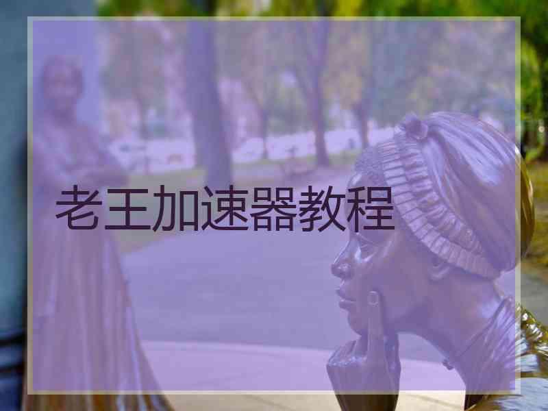 老王加速器教程
