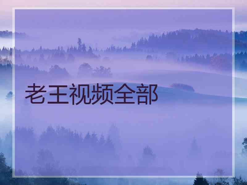 老王视频全部
