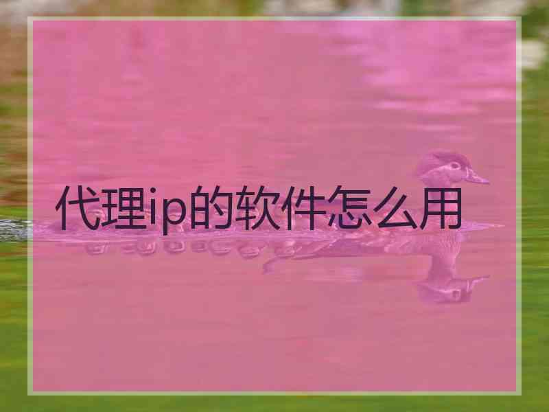 代理ip的软件怎么用