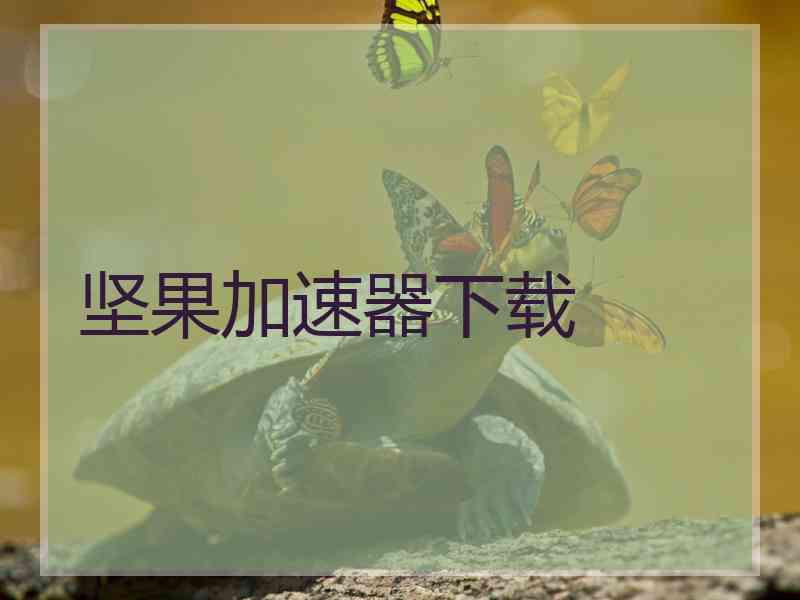 坚果加速器下载